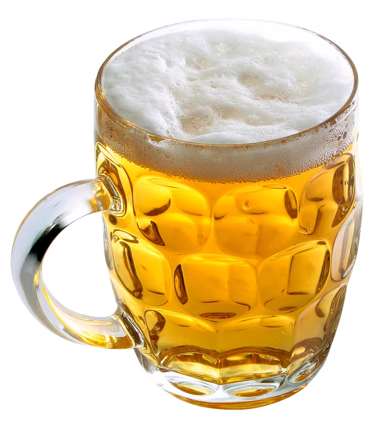Podlewanie kwiatów piwem