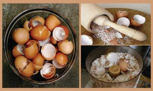 Skorupki jaj i ich wyjątkowy wpływ na zdrowie! Odtruwają, oczyszczają i wzmacniają odporność