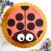 Tort Biedronka