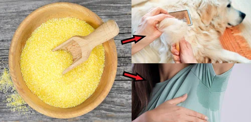 9 magicznych zastosowań mączki kukurydzianej