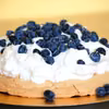 PAVLOVA (TORT PAVLOVEJ)