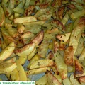 Pieczone ziemniaczki z surówką