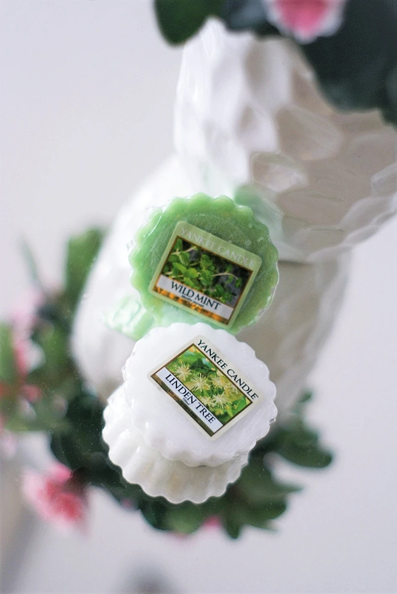 Yankee Candle - Linden Tree & Wild Mint