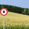 8 ciekawostek o KLESZCZACH, których wcześniej nie znałaś!