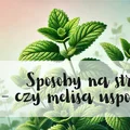 Czy melisa uspokaja?