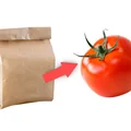 Dlaczego warto wkładać pomidory do papierowej torby?