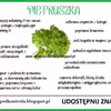 Pietruszka