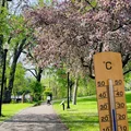 Nadchodzi fala ciepła, której nikt się nie spodziewał: IMGW zapowiada nawet 25°C!