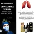 CBD kontra koronawirusy !