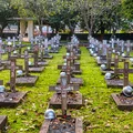 Dzień Pamięci o Poległych na Misjach: Historia i Znaczenie