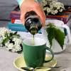 Syrop z pokrzywy
