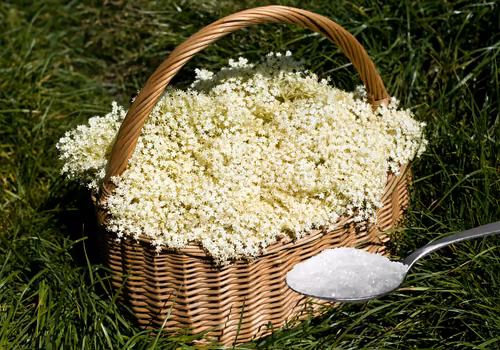 Zalej kwiaty wodą z cukrem. Ten domowy syrop Polacy robią od pokoleń
