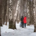 Nadchodzą masowe kontrole skarbówki! Te osoby mogą stracić.