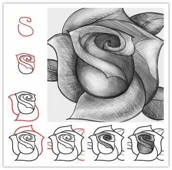 Jak narysować różę
