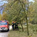 Huragan Ciara już w Polsce? Czy mamy się czego bać? Gdzie będzie wiało najmocniej?