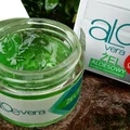 Aloe Vera Żel Melaleuca Poland
