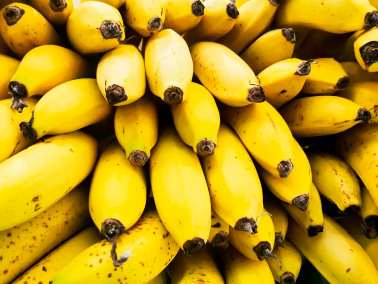 Czarna końcówka banana - JEŚĆ CZY NIE JEŚĆ?
