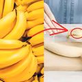 13 zastosowań skórek od banana – od tej pory już nigdy ich nie wyrzucisz!
