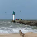 Nadciągają wichury i roztopy! Możliwe alerty IMGW.