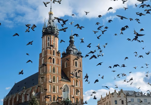 Nowa opłata w Krakowie? Tyle mogą zapłacić turyści!