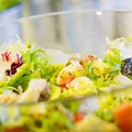 Sałatka ze smażonym indykiem w lubczyku, mozzarellą i pomidorami