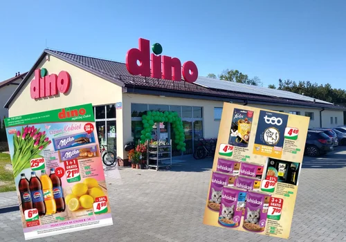 Dino szaleje z promocjami: "1+1", "2+2", a nawet "6+6 gratis"! Wszystko bez limitów!