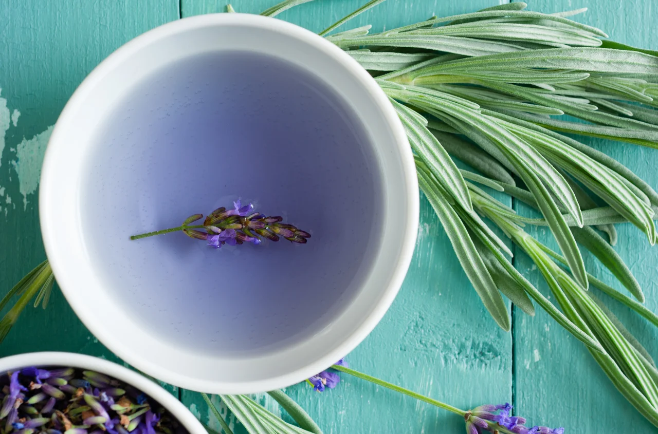 Fioletowa herbata: wypij ją na dobranoc! Mikstura, która łagodzi nerwy i poprawia sen!