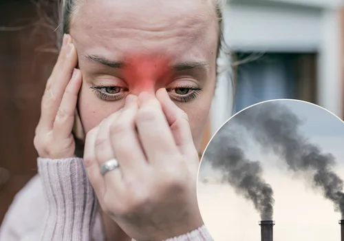 Smog niszczy Twoje zatoki – zobacz, jak się skutecznie chronić