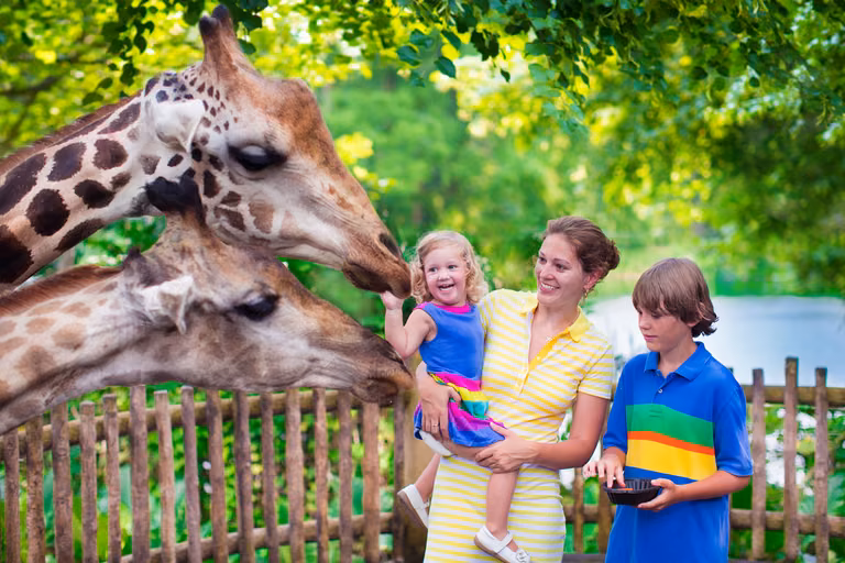 JAK ZROBIĆ lepsze zdjęcia w ZOO?