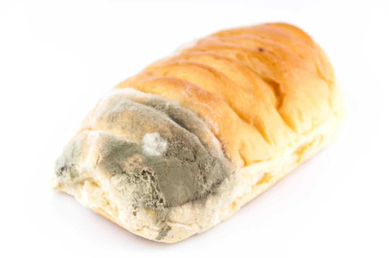 Czy wystarczy odkroić pleśń z chleba, by bezpiecznie móc go zjeść?