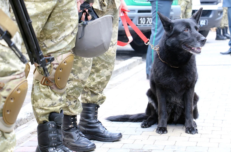 Święto Straży Granicznej – Dzień Uznania dla Obrońców Granic