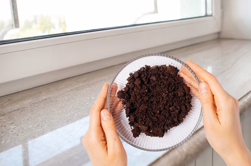 Sięgnij do kuchennej szafki i postaw na parapecie! Z tą mieszanką komary nie mają szans