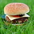 Domowe hamburgery