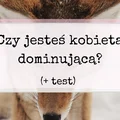 Czy w związku jesteś dominującą samicą alfa? TEST