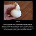 Prosty trik na łatwe do obrania jajka