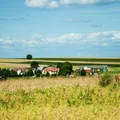 Przerażająca historia kobiety więzionej przez 4 lata: Co wydarzyło się w Gaikach?