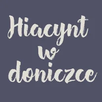 Hiacynt w doniczce