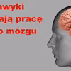 Sprawdź nawyki które niszczą MÓZG