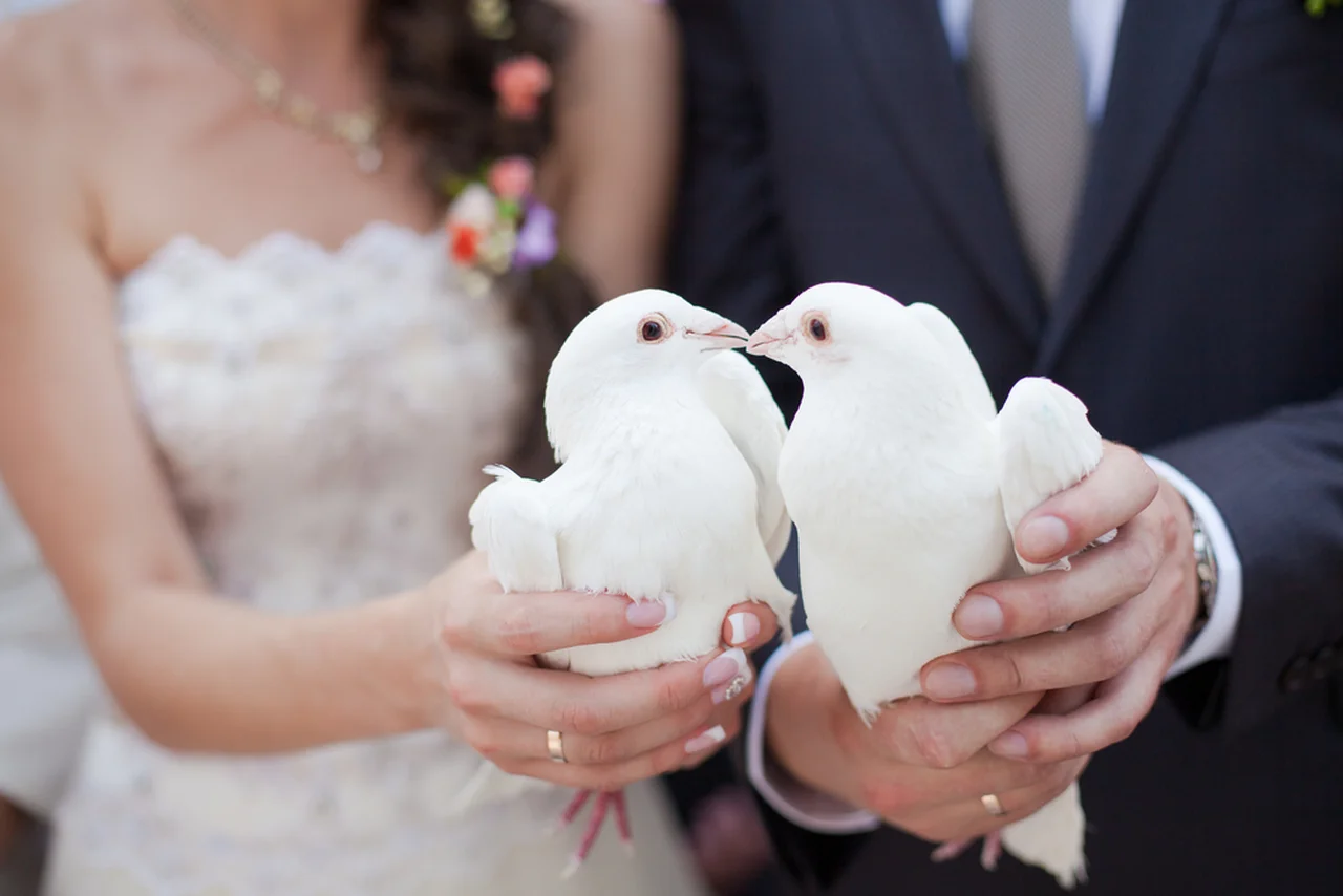 Najciekawsze tradycje weselne. Czy znasz je wszystkie?