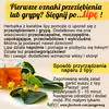 LIPA - najlepsza pomoc przy przeziębieniu i grypie