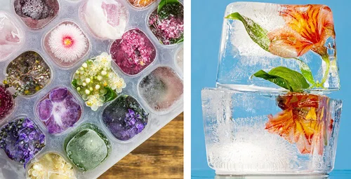 Jak przygotować piękne kostki lodu z jadalnymi kwiatami w środku?