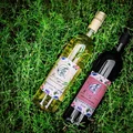 Polskie wino – gdzie się je produkuje i jak smakuje