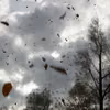 Silny wiatr w tych województwach! Alerty RCB i prognoza na weekend!