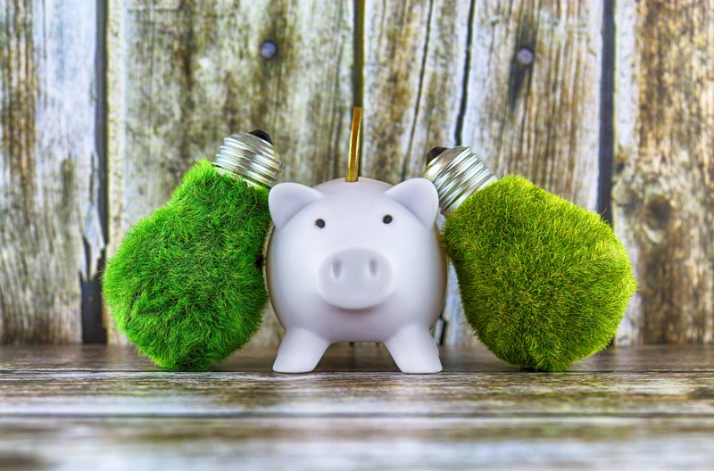 Dzień Obniżania Kosztów Energii: Jak Oszczędzać i Chronić Środowisko
