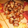 Pieczone kasztany