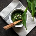 Pesto z czosnku  niedźwiedziego