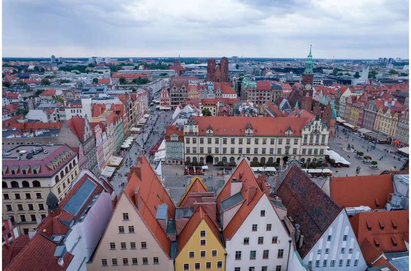 Inwazja szkodników we Wrocławiu! Trzeba uważać na żywność i chronić skórę!