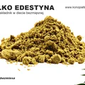 Edestyna - kluczowy składnik w diecie bezmięsnej ? Czy białko konopne jest zdrowe?