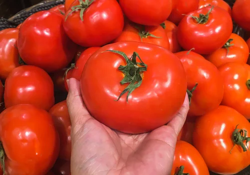 Co szypułka mówi o pomidorze? TEN szczegół ma wielkie znaczenie!