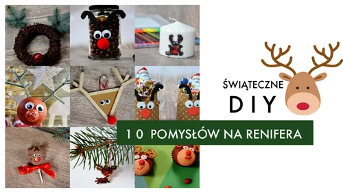 10 pomysłów na reinfera